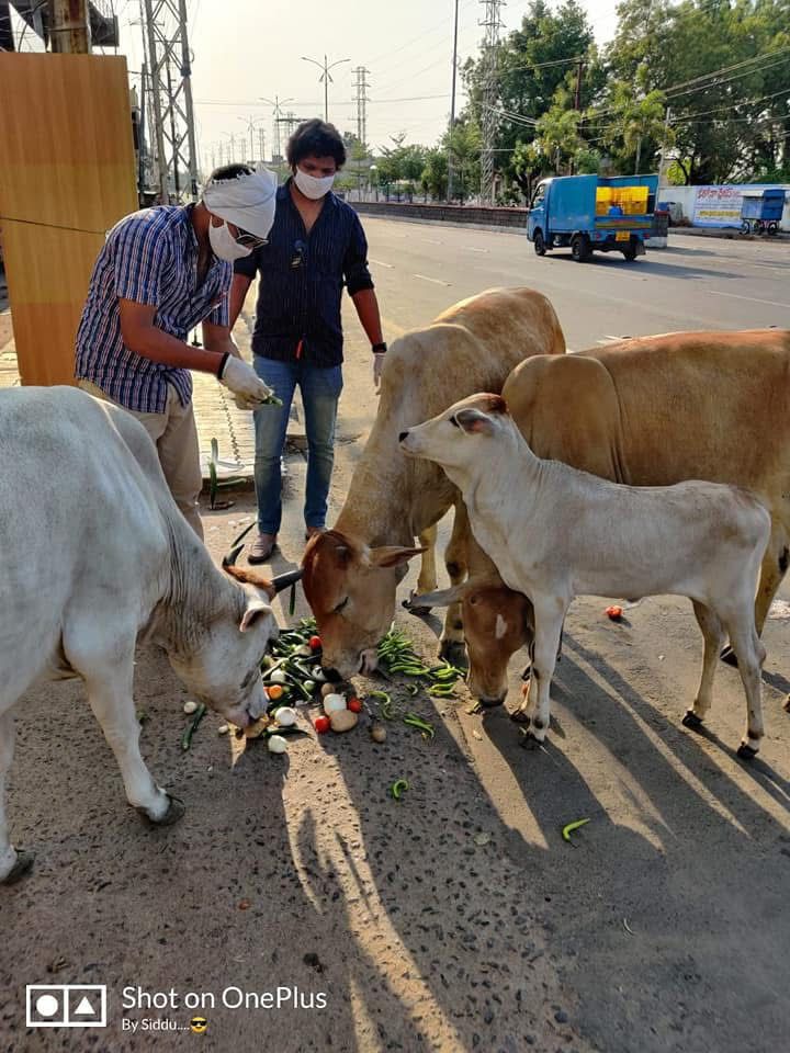 kota_shyam kumar independent candidate services